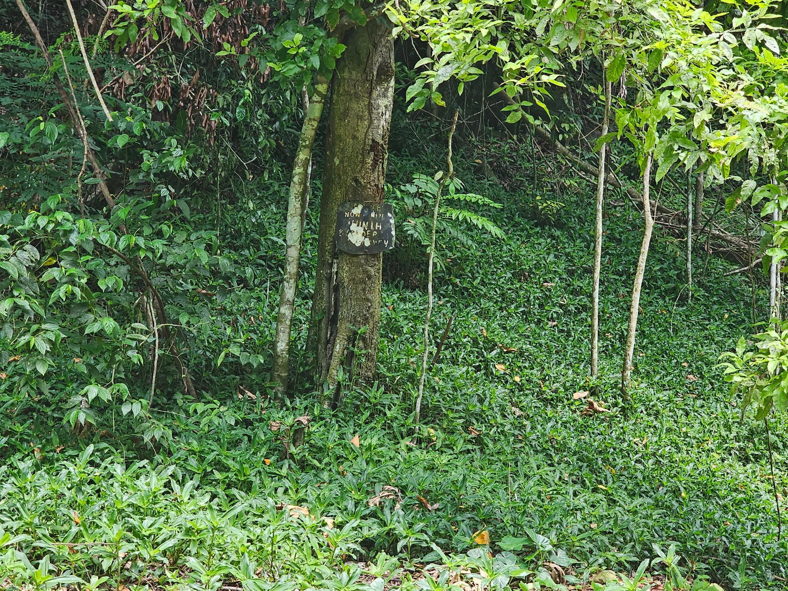 Seventh image of 0-0 Spring Garden in Montego Bay, St. James, Jamaica - property is For Sale