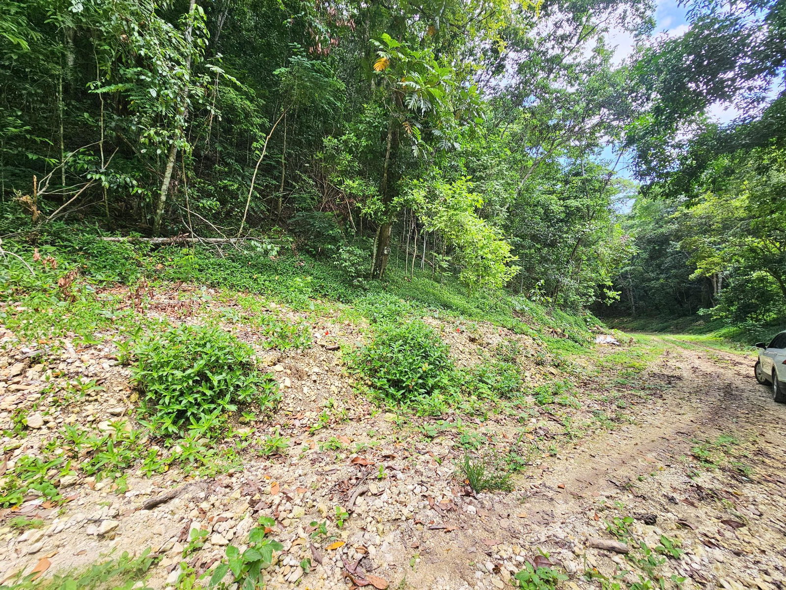 Ninth image of 0-0 Spring Garden in Montego Bay, St. James, Jamaica - property is For Sale