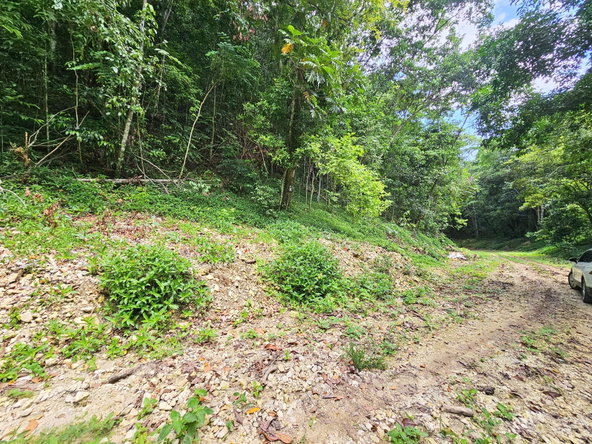 Ninth image of 0-0 Spring Garden in Montego Bay, St. James, Jamaica - property is For Sale