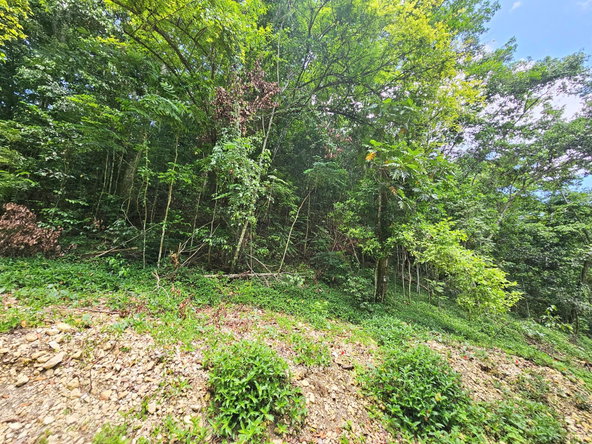Tenth image of 0-0 Spring Garden in Montego Bay, St. James, Jamaica - property is For Sale