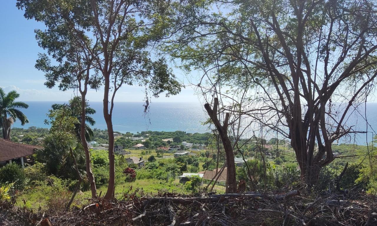 Second image of 132 Culloden by The Sea in White House WD, Westmoreland, Jamaica - property is For Sale