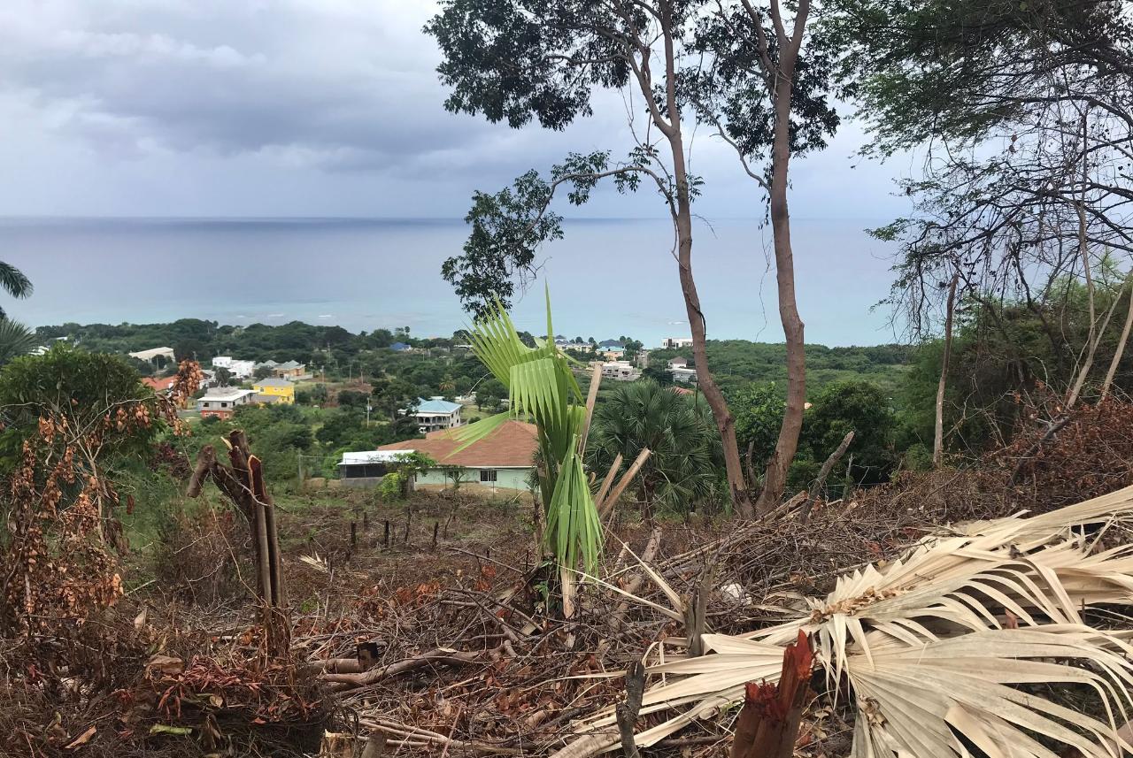 Eleventh image of 132 Culloden by The Sea in White House WD, Westmoreland, Jamaica - property is For Sale