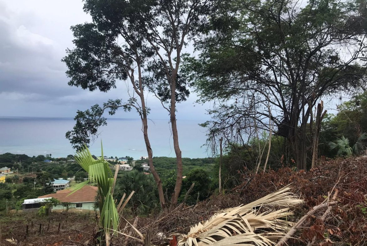 Twelfth image of 132 Culloden by The Sea in White House WD, Westmoreland, Jamaica - property is For Sale