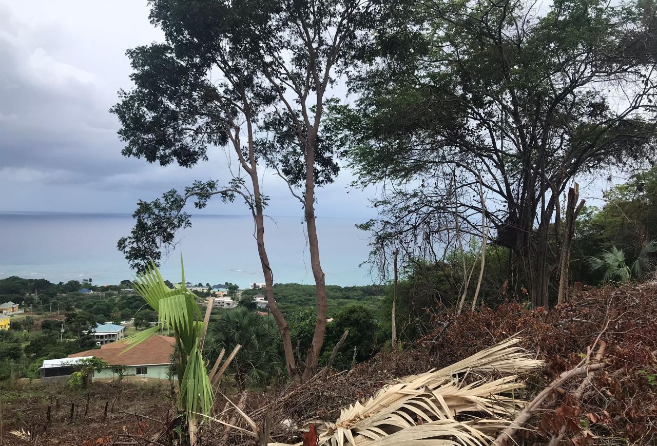 Twelfth image of 132 Culloden by The Sea in White House WD, Westmoreland, Jamaica - property is For Sale