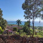 First image of 132 Culloden by The Sea in White House WD, Westmoreland, Jamaica - property is For Sale