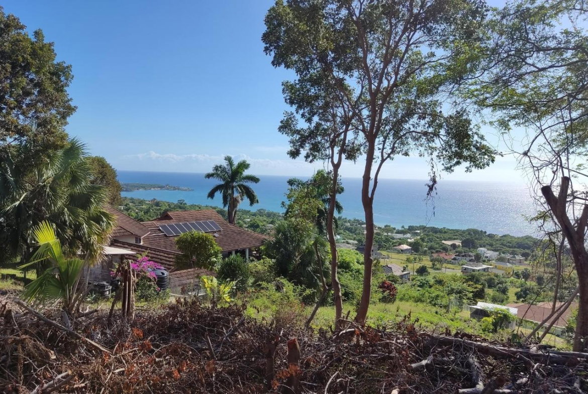 Third image of 132 Culloden by The Sea in White House WD, Westmoreland, Jamaica - property is For Sale