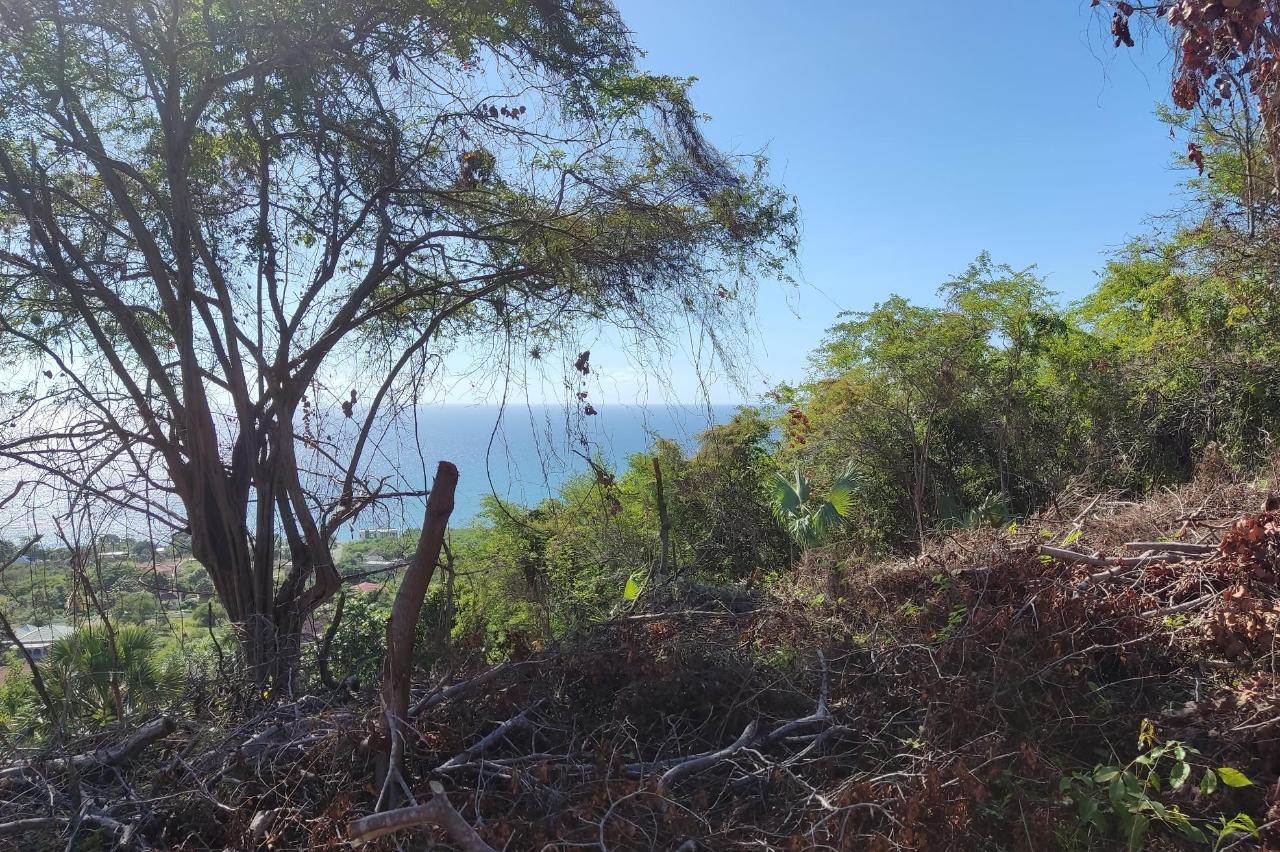 Fourth image of 132 Culloden by The Sea in White House WD, Westmoreland, Jamaica - property is For Sale