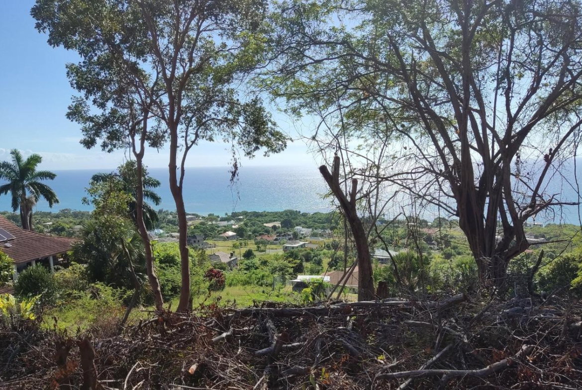 Fifth image of 132 Culloden by The Sea in White House WD, Westmoreland, Jamaica - property is For Sale