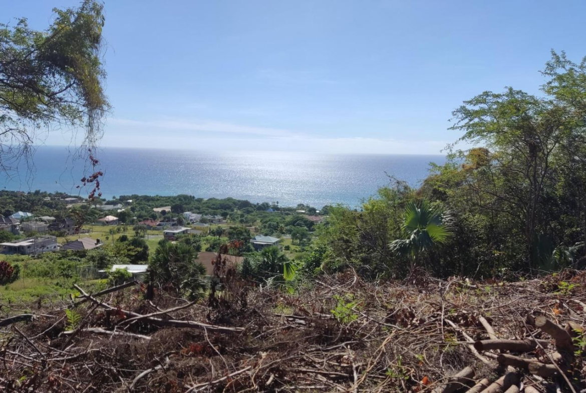 Sixth image of 132 Culloden by The Sea in White House WD, Westmoreland, Jamaica - property is For Sale