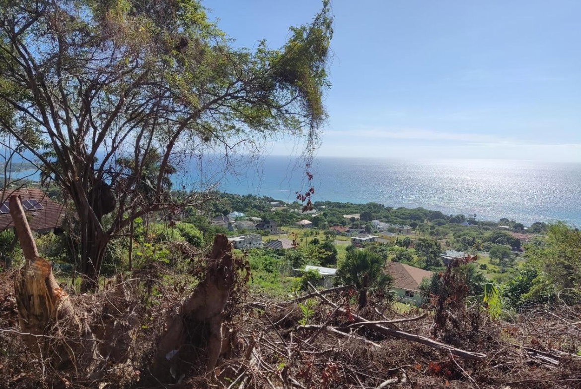 Seventh image of 132 Culloden by The Sea in White House WD, Westmoreland, Jamaica - property is For Sale