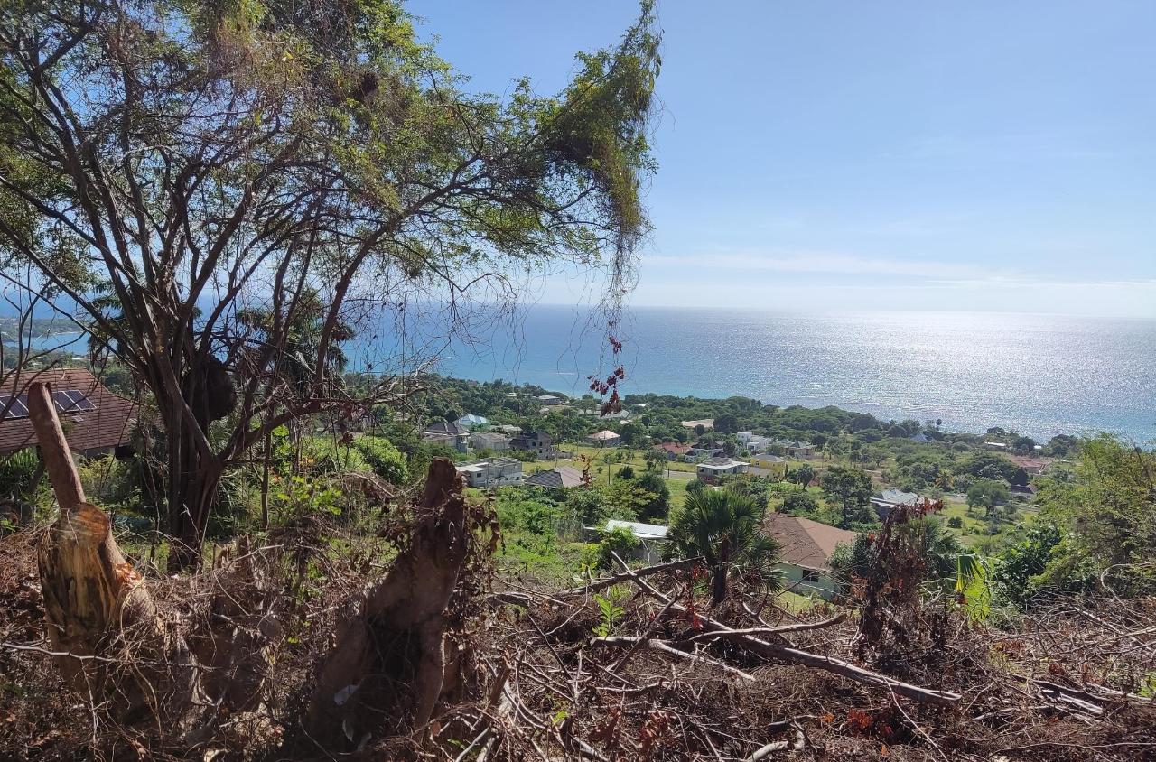 Seventh image of 132 Culloden by The Sea in White House WD, Westmoreland, Jamaica - property is For Sale
