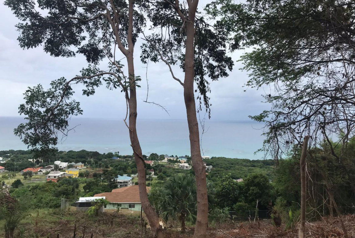 Eighth image of 132 Culloden by The Sea in White House WD, Westmoreland, Jamaica - property is For Sale