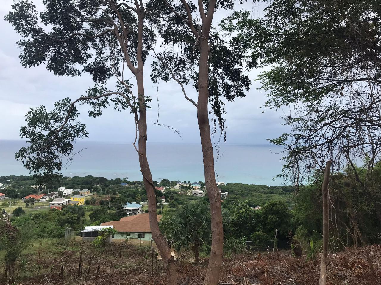 Eighth image of 132 Culloden by The Sea in White House WD, Westmoreland, Jamaica - property is For Sale