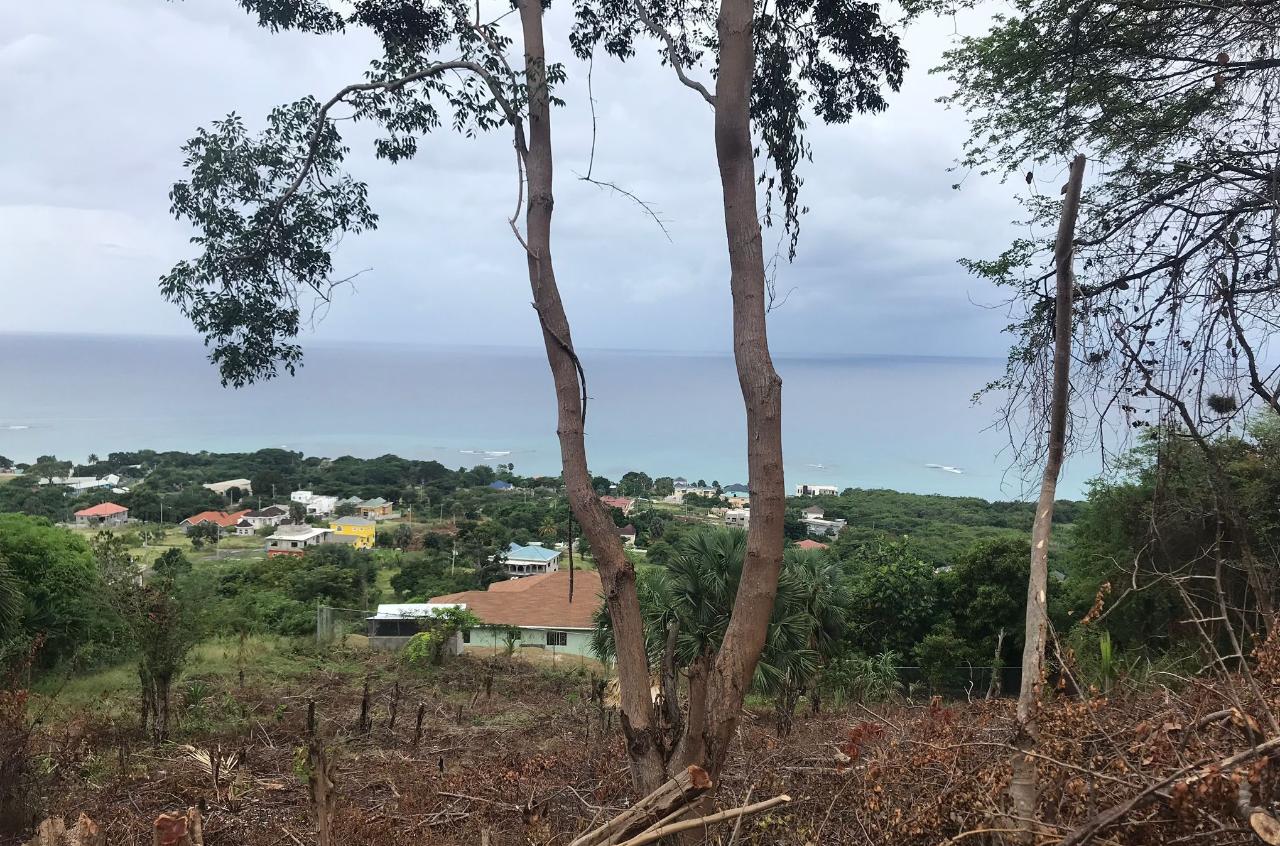 Ninth image of 132 Culloden by The Sea in White House WD, Westmoreland, Jamaica - property is For Sale