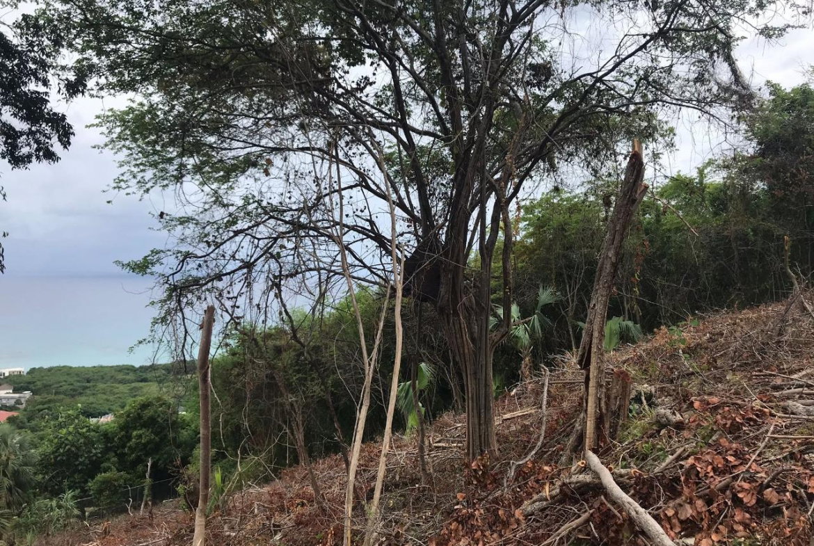 Tenth image of 132 Culloden by The Sea in White House WD, Westmoreland, Jamaica - property is For Sale