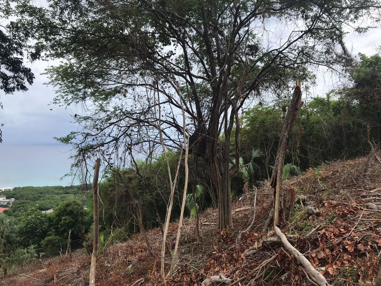 Tenth image of 132 Culloden by The Sea in White House WD, Westmoreland, Jamaica - property is For Sale