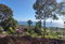 First image of 132 Culloden by The Sea in White House WD, Westmoreland, Jamaica - property is For Sale