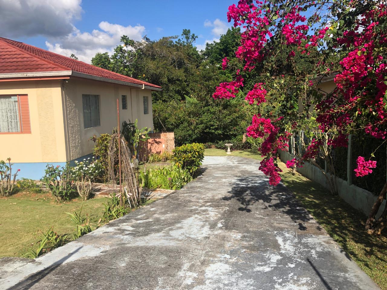 Twelfth image of 81 Great House Drive in Mandeville, Manchester, Jamaica - property is For Sale