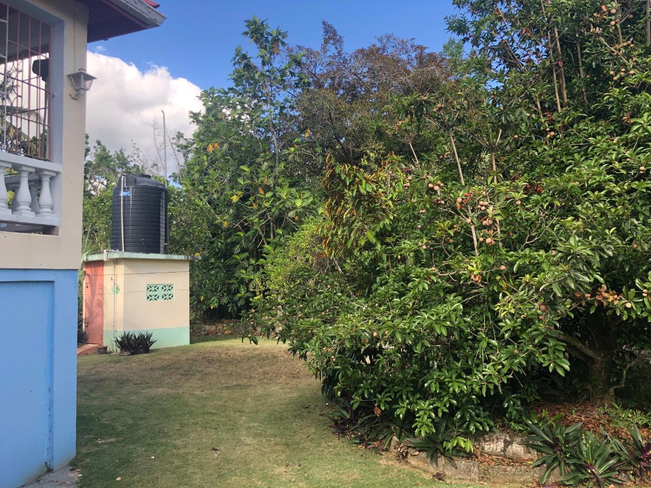 Eighth image of 81 Great House Drive in Mandeville, Manchester, Jamaica - property is For Sale