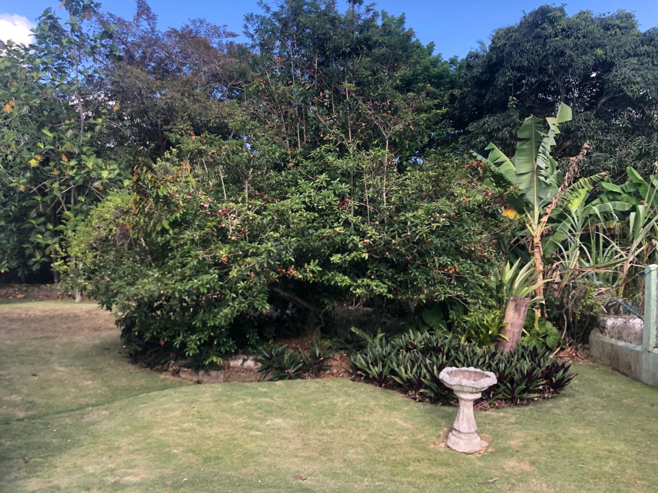 Ninth image of 81 Great House Drive in Mandeville, Manchester, Jamaica - property is For Sale