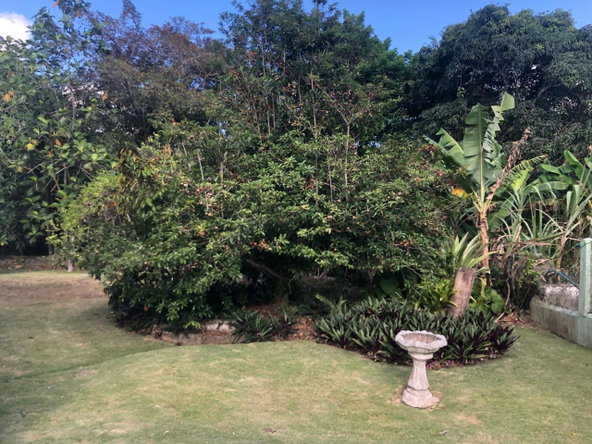 Ninth image of 81 Great House Drive in Mandeville, Manchester, Jamaica - property is For Sale
