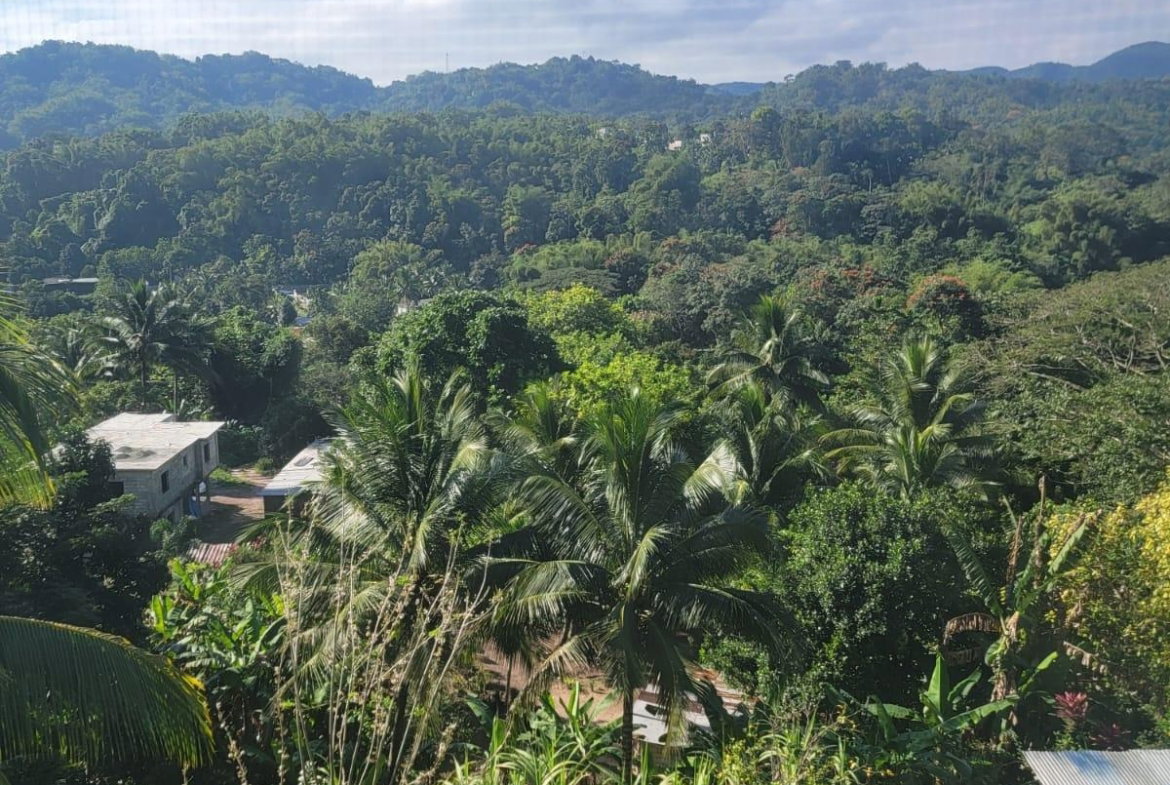 Third image of Authur Leon Drive Golden in GOLDEN SPRING, St. Andrew, Jamaica - property is For Sale