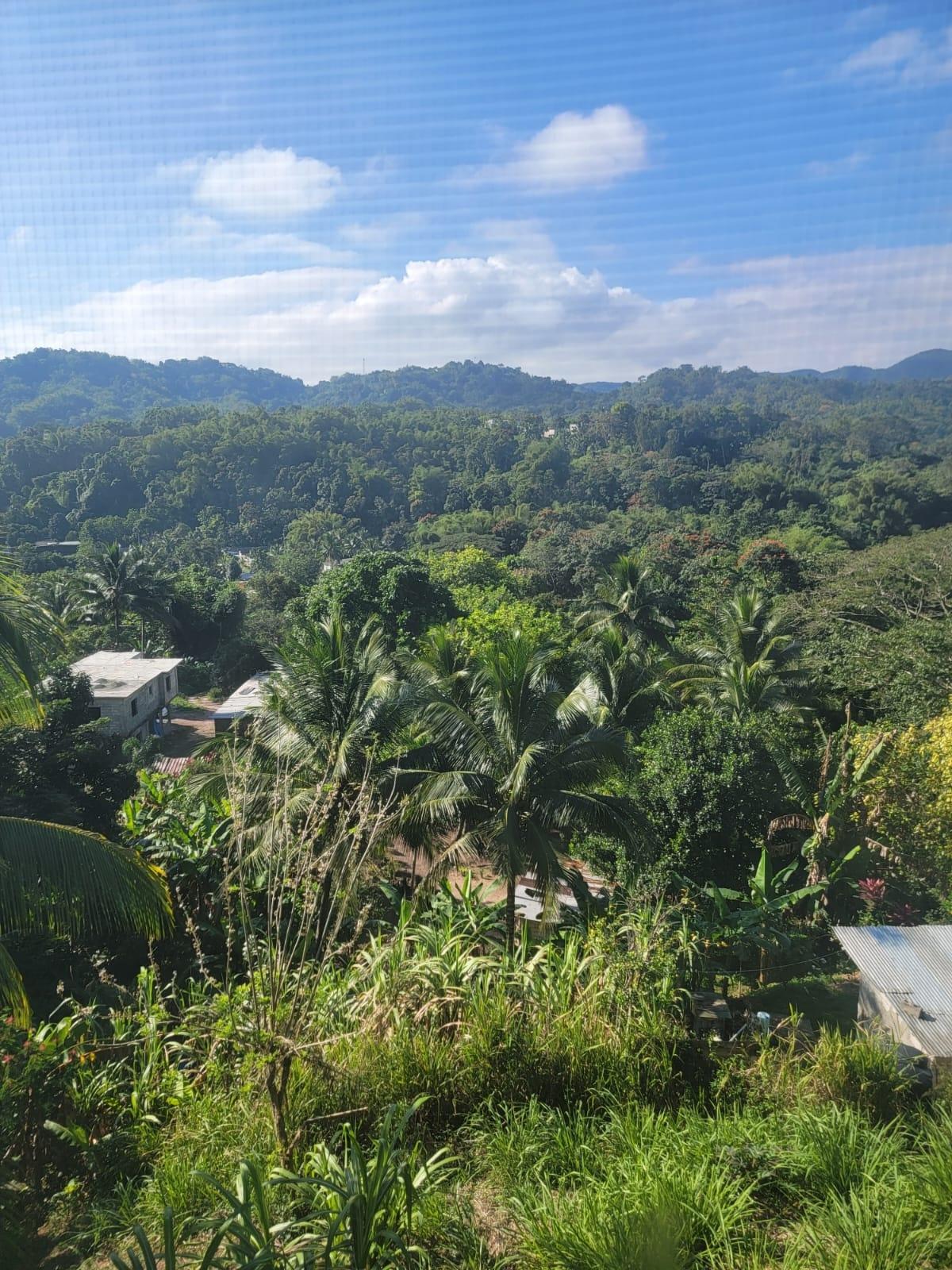 Third image of Authur Leon Drive Golden in GOLDEN SPRING, St. Andrew, Jamaica - property is For Sale