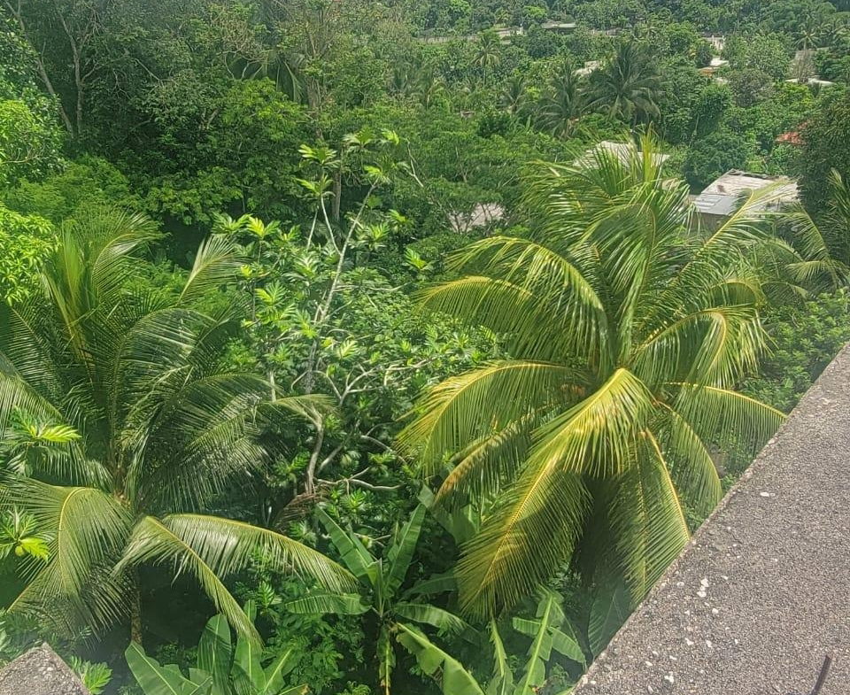 Fifth image of Authur Leon Drive Golden in GOLDEN SPRING, St. Andrew, Jamaica - property is For Sale