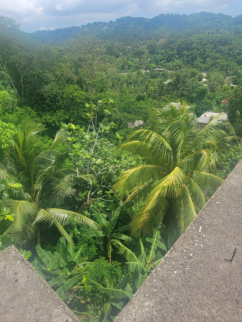 Fifth image of Authur Leon Drive Golden in GOLDEN SPRING, St. Andrew, Jamaica - property is For Sale