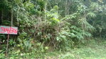 First image of 36- Sligoville Main Road in Sligoville, St. Catherine, Jamaica - property is For Sale