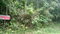 First image of 36- Sligoville Main Road in Sligoville, St. Catherine, Jamaica - property is For Sale