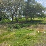First image of Ferris, Westmorland in SAVANNA LA MAR, Westmoreland, Jamaica - property is For Sale