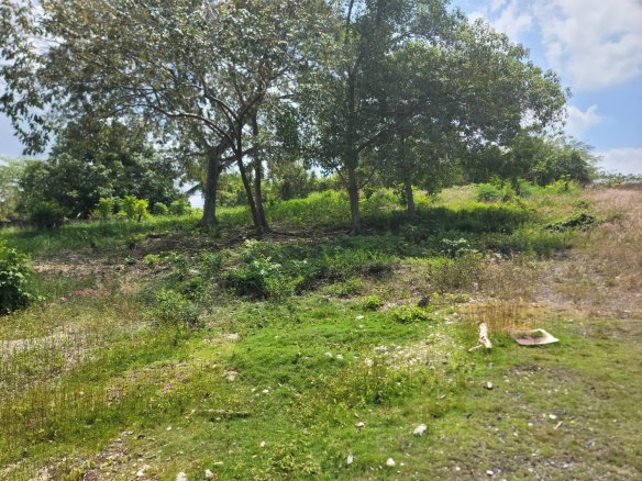First image of Ferris, Westmorland in SAVANNA LA MAR, Westmoreland, Jamaica - property is For Sale