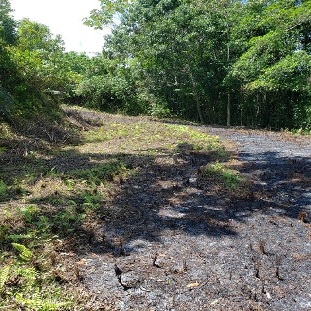 Eleventh image of Lot 79- Reach Falls, Portland in Manchioneal, Portland, Jamaica - property is For Sale
