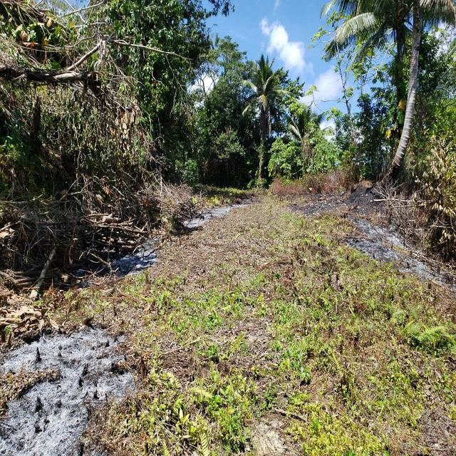 Third image of Lot 79- Reach Falls, Portland in Manchioneal, Portland, Jamaica - property is For Sale