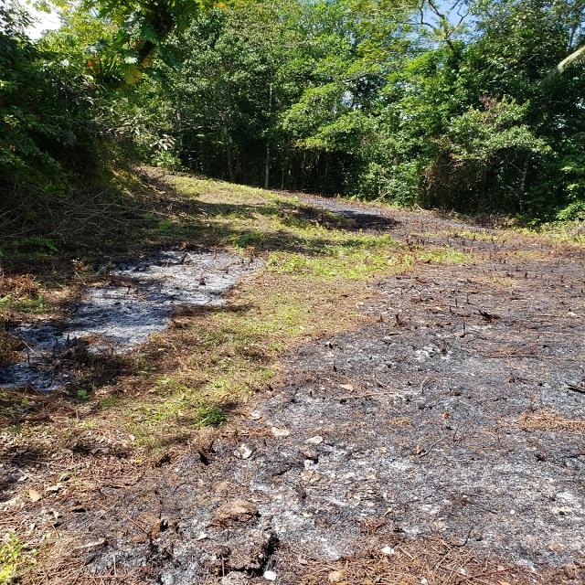 Eighth image of Lot 79- Reach Falls, Portland in Manchioneal, Portland, Jamaica - property is For Sale