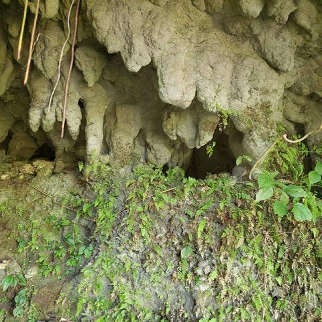 Ninth image of Lot 79- Reach Falls, Portland in Manchioneal, Portland, Jamaica - property is For Sale
