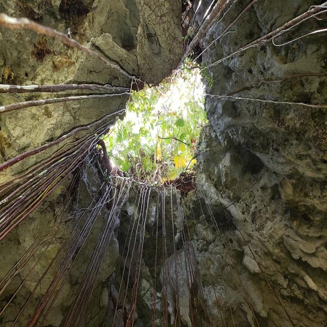 Tenth image of Lot 79- Reach Falls, Portland in Manchioneal, Portland, Jamaica - property is For Sale