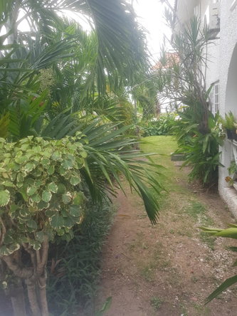 Seventeenth image of 13b-10 East Ave., Desmond Court in Kingston 8, St. Andrew, Jamaica - property is For Sale