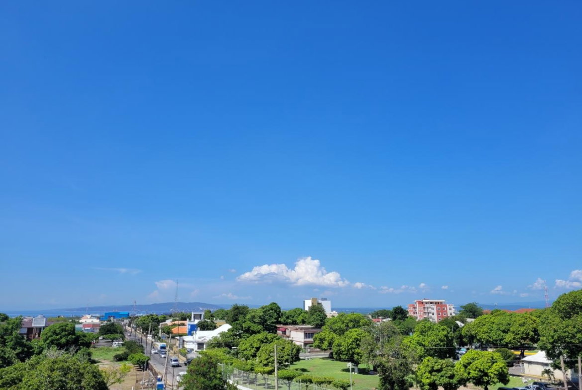 Twenty-Fourth image of 411-1-3 Ruthven Road in NEW KINGSTON, St. Andrew, Jamaica - property is For Rent