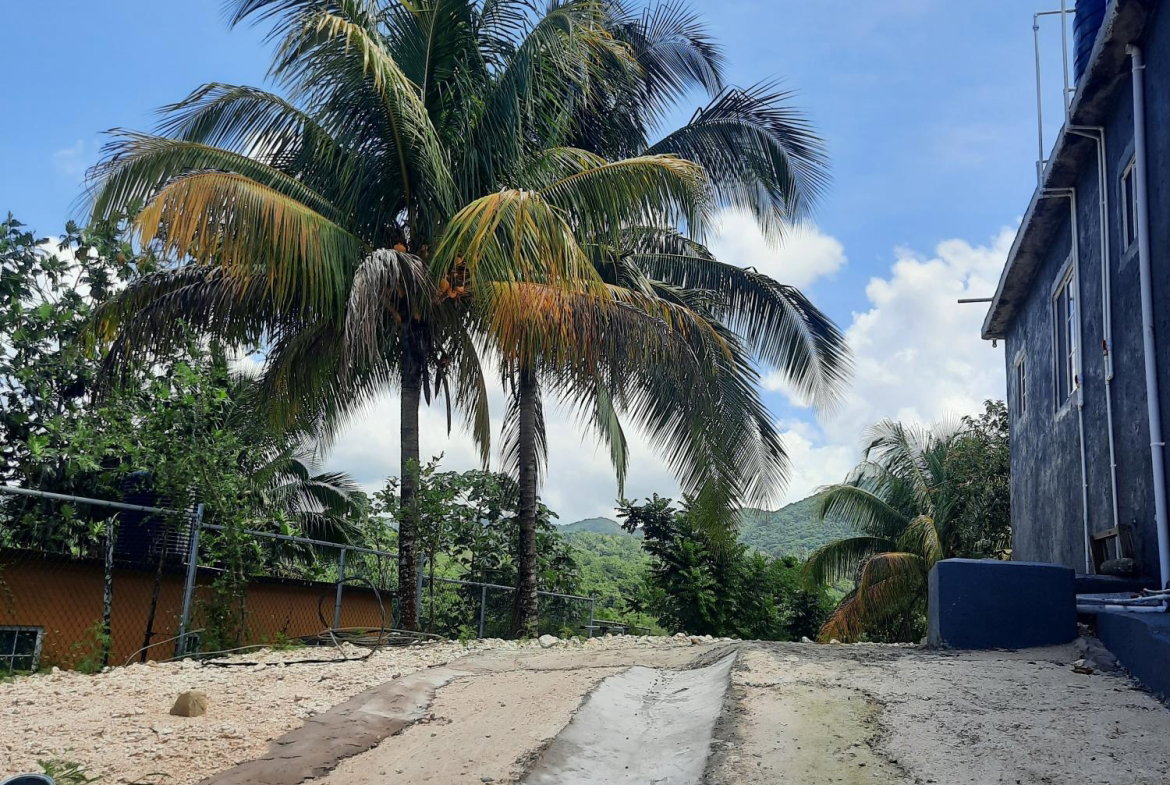 Twenty-Third image of Thornton, St. Elizabeth in Balaclava, St. Elizabeth, Jamaica - property is For Rent