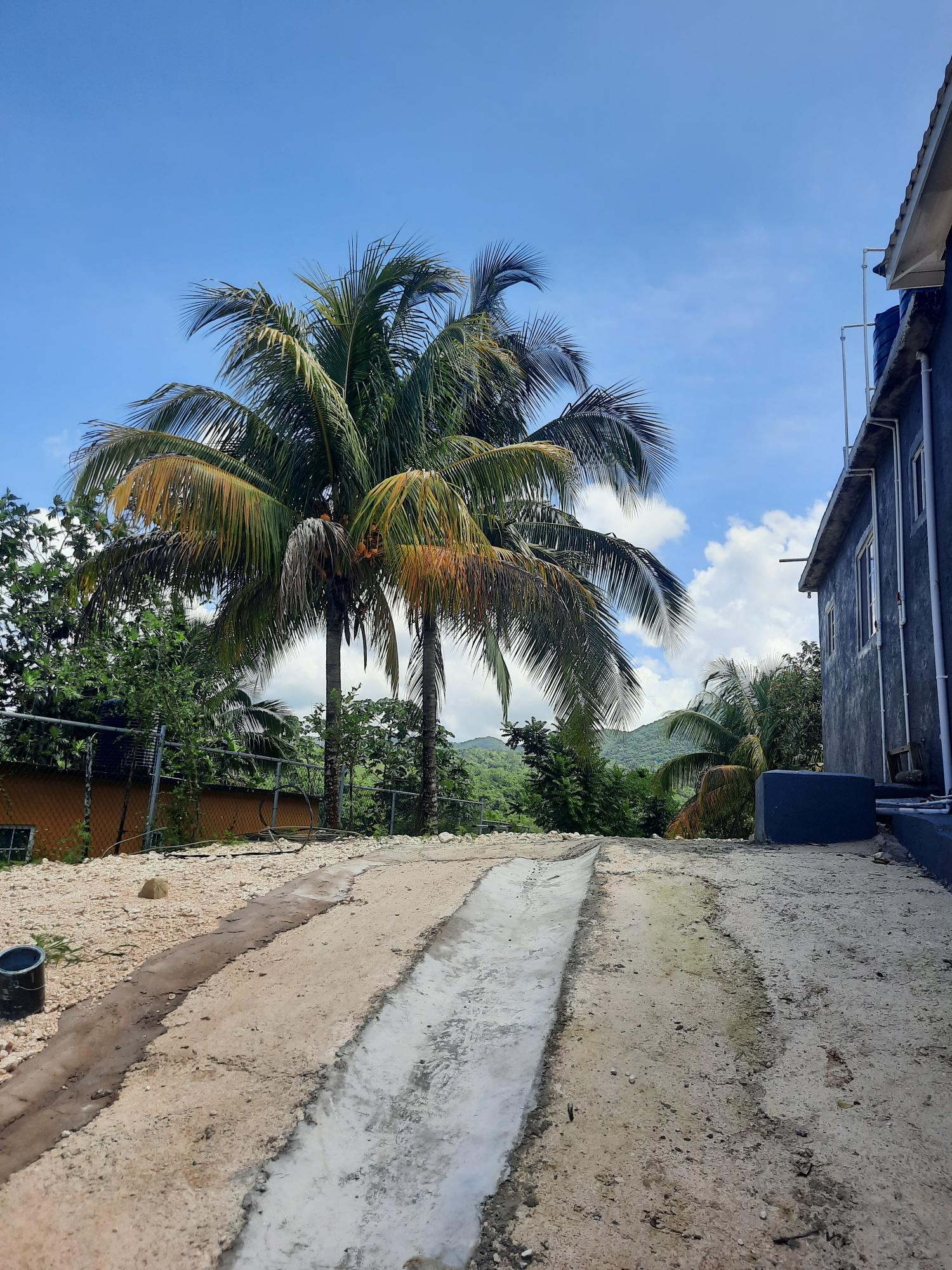 Twenty-Third image of Thornton, St. Elizabeth in Balaclava, St. Elizabeth, Jamaica - property is For Rent