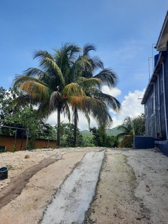 Twenty-Third image of Thornton, St. Elizabeth in Balaclava, St. Elizabeth, Jamaica - property is For Rent