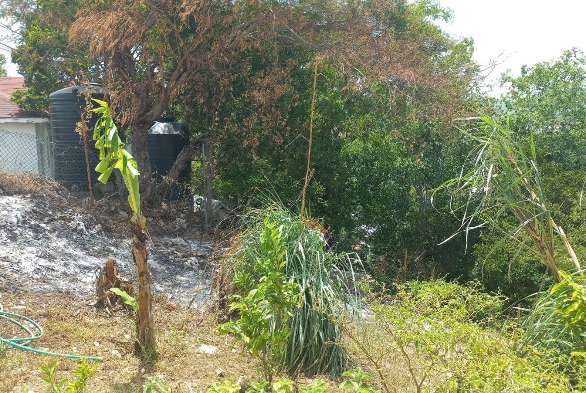 Nineteenth image of 152 Apple Close, Mount View e in Spanish Town, St. Catherine, Jamaica - property is For Rent