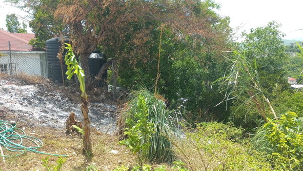 Nineteenth image of 152 Apple Close, Mount View e in Spanish Town, St. Catherine, Jamaica - property is For Rent
