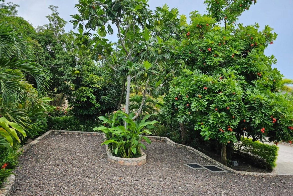 Twelfth image of Unit 1- Vernon Avenue, Oracabessa in Oracabessa, St. Mary, Jamaica - property is For Rent