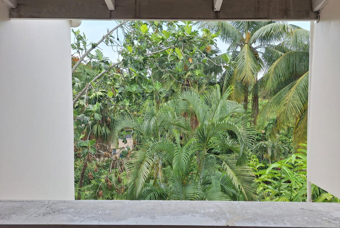 Twenty-Ninth image of 6- Palm Valley in Kingston 9, St. Andrew, Jamaica - property is For Sale