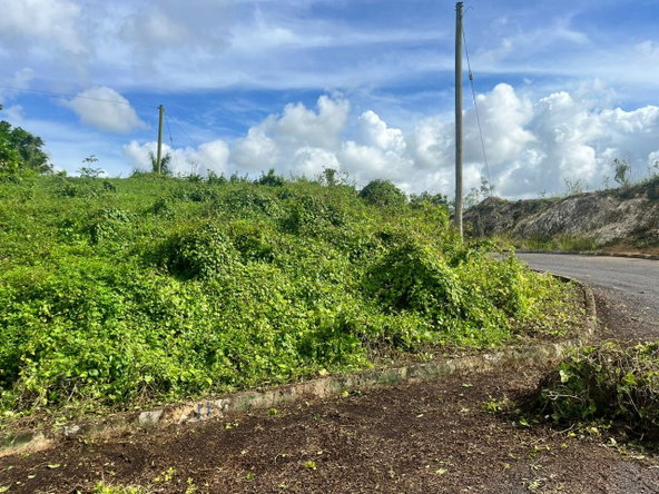 Sixth image of 6 Shenton Linstead in Linstead, St. Catherine, Jamaica - property is For Sale