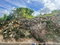 First image of 6 Shenton Linstead in Linstead, St. Catherine, Jamaica - property is For Sale