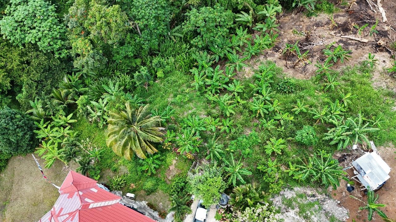 Second image of 59 Wydah, St. Margarets Bay in St. Margaret's Bay, Portland, Jamaica - property is For Sale